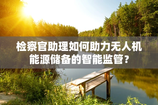 检察官助理如何助力无人机能源储备的智能监管？