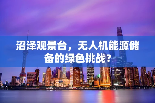 沼泽观景台，无人机能源储备的绿色挑战？