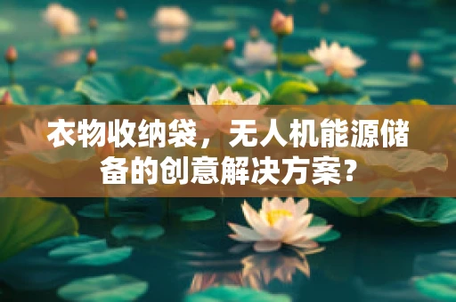 衣物收纳袋，无人机能源储备的创意解决方案？