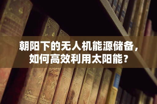 朝阳下的无人机能源储备，如何高效利用太阳能？