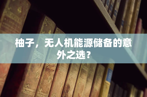 柚子，无人机能源储备的意外之选？