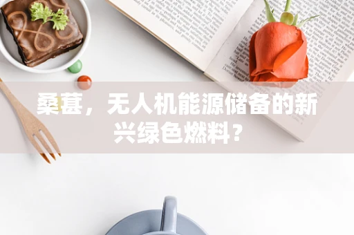 桑葚，无人机能源储备的新兴绿色燃料？