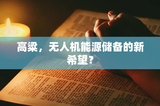 高粱，无人机能源储备的新希望？