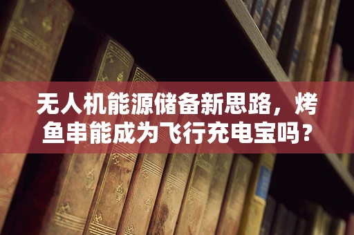 无人机能源储备新思路，烤鱼串能成为飞行充电宝吗？