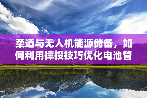 柔道与无人机能源储备，如何利用摔投技巧优化电池管理？