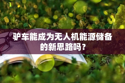 驴车能成为无人机能源储备的新思路吗？