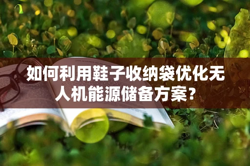 如何利用鞋子收纳袋优化无人机能源储备方案？