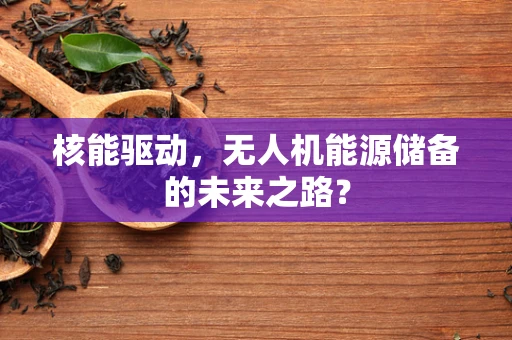 核能驱动，无人机能源储备的未来之路？