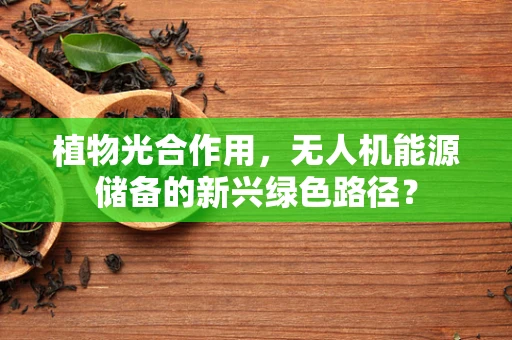 植物光合作用，无人机能源储备的新兴绿色路径？