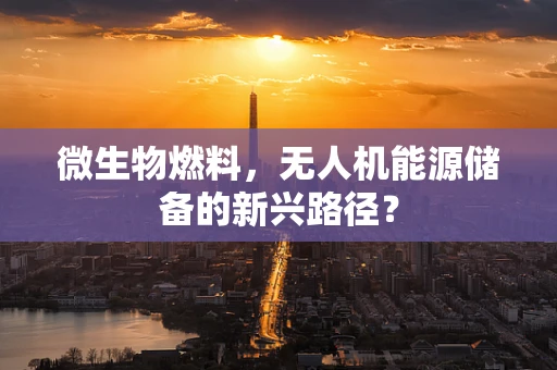 微生物燃料，无人机能源储备的新兴路径？