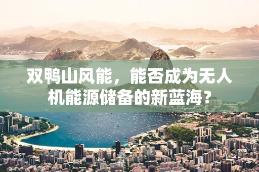 双鸭山风能，能否成为无人机能源储备的新蓝海？