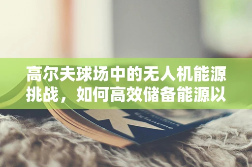 高尔夫球场中的无人机能源挑战，如何高效储备能源以保障巡检任务？