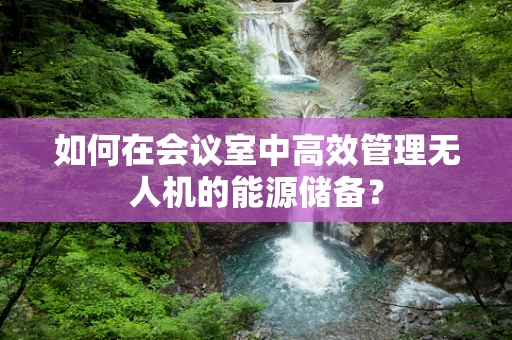 如何在会议室中高效管理无人机的能源储备？