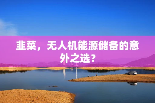 韭菜，无人机能源储备的意外之选？