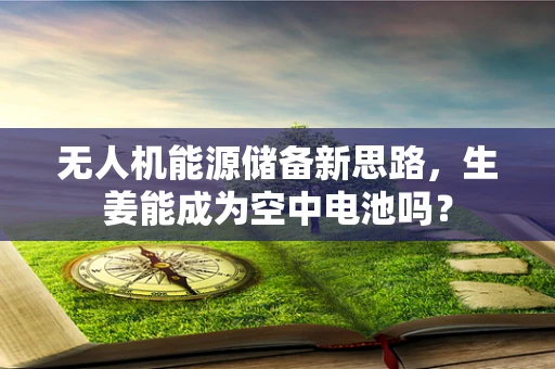 无人机能源储备新思路，生姜能成为空中电池吗？