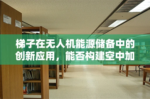 梯子在无人机能源储备中的创新应用，能否构建空中加油站的桥梁？