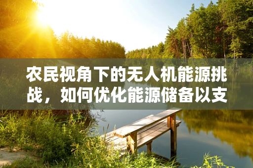 农民视角下的无人机能源挑战，如何优化能源储备以支持高效作业？