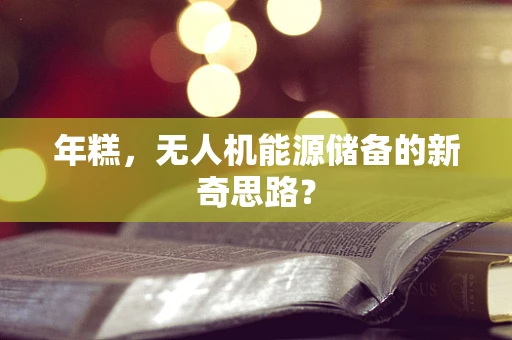 年糕，无人机能源储备的新奇思路？