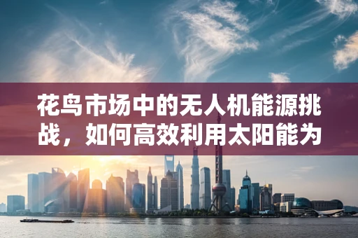 花鸟市场中的无人机能源挑战，如何高效利用太阳能为飞行器续航？