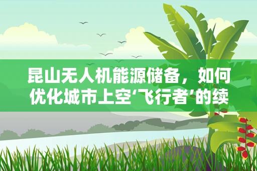 昆山无人机能源储备，如何优化城市上空‘飞行者’的续航力？