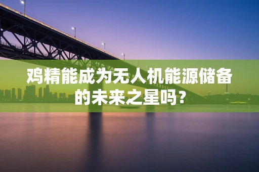 鸡精能成为无人机能源储备的未来之星吗？