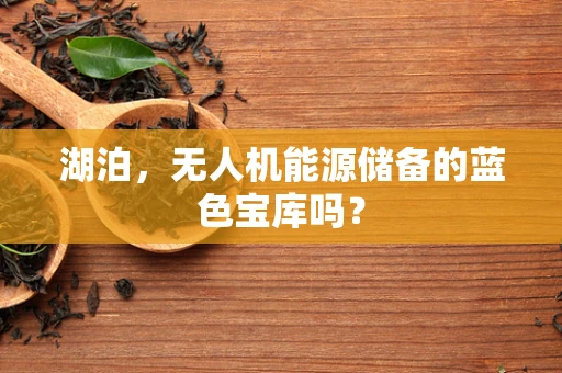 湖泊，无人机能源储备的蓝色宝库吗？