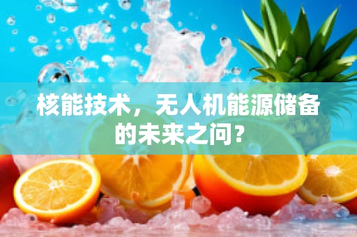 核能技术，无人机能源储备的未来之问？