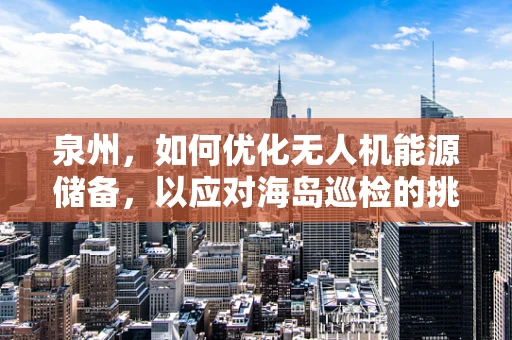 泉州，如何优化无人机能源储备，以应对海岛巡检的挑战？