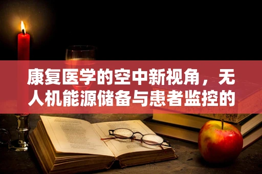 康复医学的空中新视角，无人机能源储备与患者监控的融合挑战