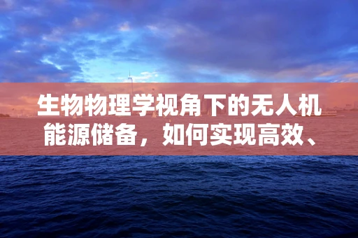 生物物理学视角下的无人机能源储备，如何实现高效、可持续的能源解决方案？