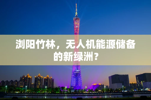 浏阳竹林，无人机能源储备的新绿洲？