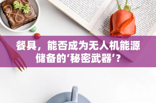 餐具，能否成为无人机能源储备的‘秘密武器’？