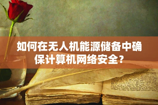 如何在无人机能源储备中确保计算机网络安全？