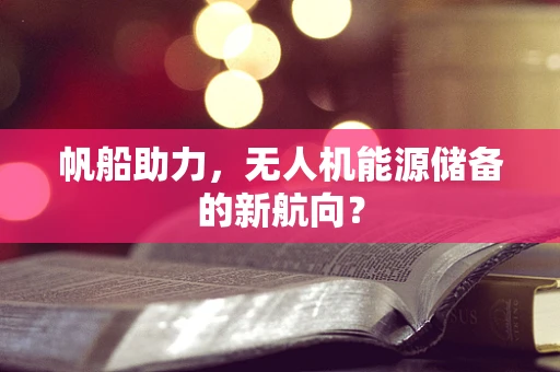 帆船助力，无人机能源储备的新航向？