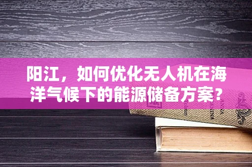 阳江，如何优化无人机在海洋气候下的能源储备方案？