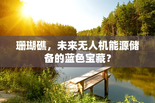 珊瑚礁，未来无人机能源储备的蓝色宝藏？