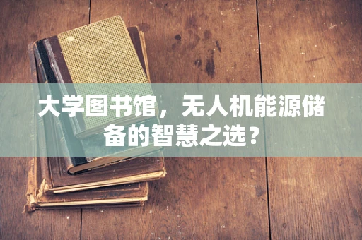 大学图书馆，无人机能源储备的智慧之选？