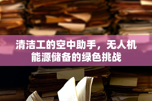 清洁工的空中助手，无人机能源储备的绿色挑战