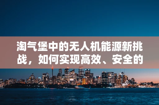 淘气堡中的无人机能源新挑战，如何实现高效、安全的能源储备？