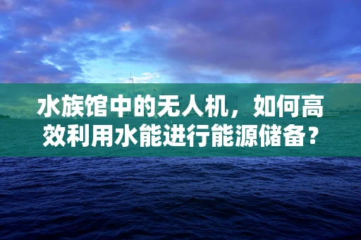 水族馆中的无人机，如何高效利用水能进行能源储备？