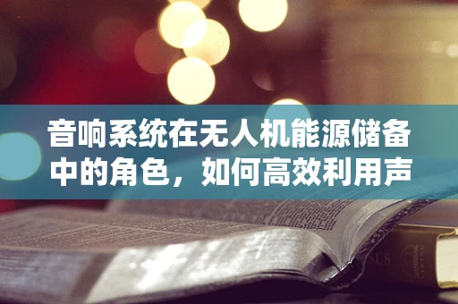 音响系统在无人机能源储备中的角色，如何高效利用声音进行能量收集？