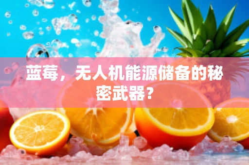 蓝莓，无人机能源储备的秘密武器？