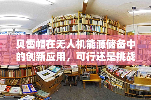 贝雷帽在无人机能源储备中的创新应用，可行还是挑战？