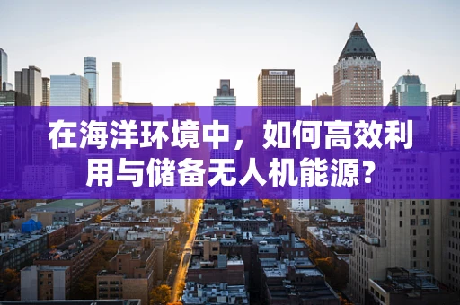 在海洋环境中，如何高效利用与储备无人机能源？