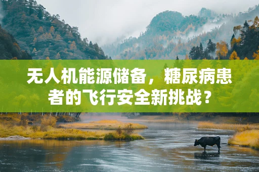 无人机能源储备，糖尿病患者的飞行安全新挑战？