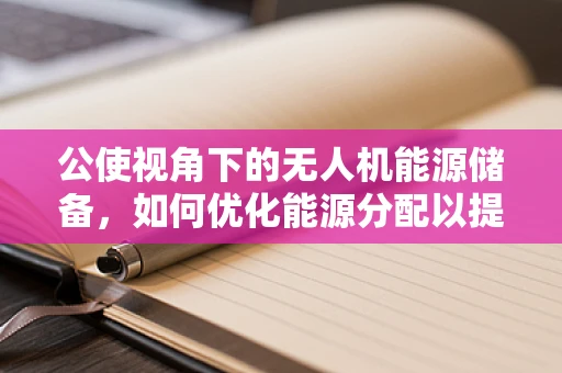 公使视角下的无人机能源储备，如何优化能源分配以提升任务执行效率？