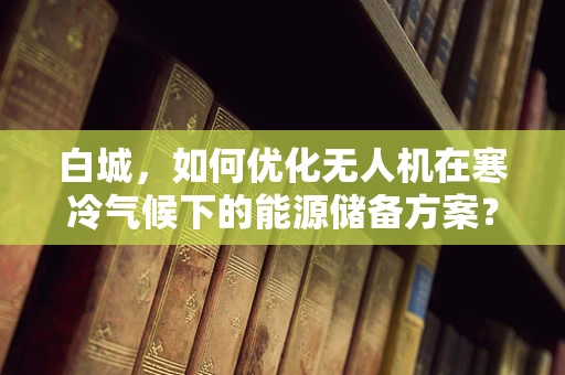 白城，如何优化无人机在寒冷气候下的能源储备方案？