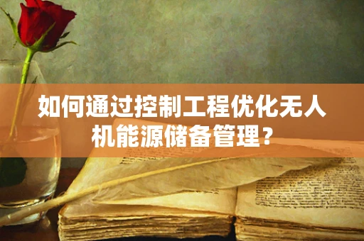 如何通过控制工程优化无人机能源储备管理？