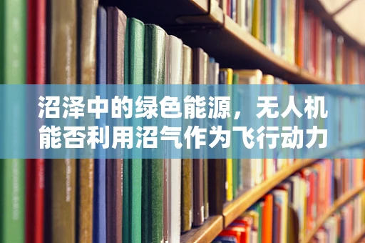 沼泽中的绿色能源，无人机能否利用沼气作为飞行动力？