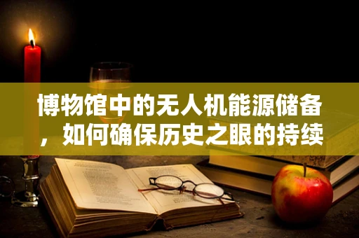 博物馆中的无人机能源储备，如何确保历史之眼的持续‘飞翔’？